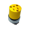 Cooper Wiring Devices, 5-15R Straight Blade Connector, 2887-BOX