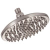 Danze, Showerhead, D451289BN