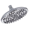 Danze, Showerhead, D451289