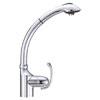 Danze, Anu Collection, Pull-Out Kitchen Faucet, D456720
