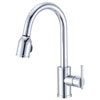 Danze, Parma Collection, Pull-Down Kitchen Faucet, D457058