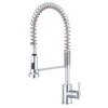 Danze, Parma Collection, Pull-Down Kitchen Faucet, D457158