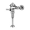 Delany, Flushboy Exposed Urinal Valves, 451-1