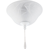 Progress Lighting, AirPro 2-light Ceiling Fan Light, P2621-30EBWB