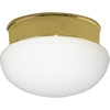 Progress Lighting, 1-light Flushmount, P3408-10