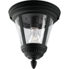 Progress Lighting P3883-31