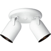 Progress Lighting, Wht 2-lt SpotltFxt, P6149-30
