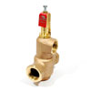 Watts, Series N170-M2, 1 1/2 N 170-M2 (0274311)
