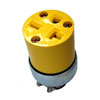 Cooper Wiring Devices, 2229-BOX, 6-20R  