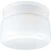Progress Lighting, 1-light Flushmount, P3516-30