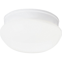 Progress Lighting, 2-light Flushmount, P3410-30