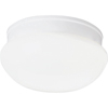 Progress Lighting, 2-light Flushmount, P3410-30