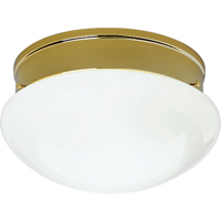 Progress Lighting, 2-light Flushmount, P3412-10