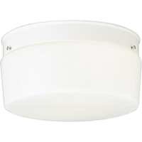 Progress Lighting, 2-light Flushmount, P3520-30
