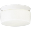 Progress Lighting, 2-light Flushmount, P3520-30