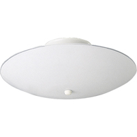Progress Lighting, 2-light Flushmount, P4609-30
