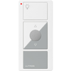 Lutron, Pico Wireless Control with LED, PJ2-3BRL-GWG-L01