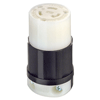 Leviton, 2313
