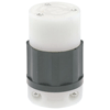 Leviton, C2623