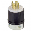 Leviton, 2431