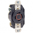 Leviton, 2430
