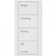 Lutron, PJ2-4B-TSW-P02, Pico Wireless Control, M77621