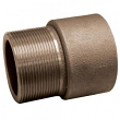 Jones Stephens, D60978, 2 FIP X 2 MIP BRASS EXTENSION ADAPTER, M78293