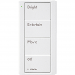 Lutron, PJ2-4B-TSW-P01, Pico 4B Family Room Scene, M78378