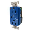 Hubbell, Surge Protective Isolated Ground Duplex Receptacles, IG5262SA