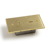 Lew Electrical Fittings, RFCB-2, Duplex Receptacles, Brass Cover