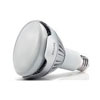 LED Flood Light Bulbs