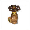 Globe Valves