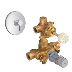 Thermostatic Valves and Trims