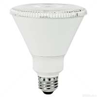 LED PAR30 Long Neck