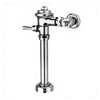 Delany Flush Valves
