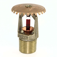 Tyco, Brass Upright Standard Coverage Sprinkler Heads, M77543
