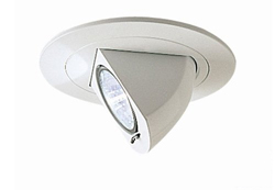 Nora Lighting NL-470W Fully Adjustable Elbow Recessed Lighting