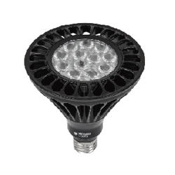  PAR38 LED Lamp