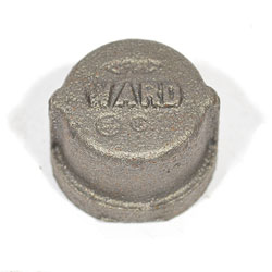Ward, Black Caps