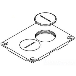 Wiremold, Brass Duplex Cover Plate, 828SPTC