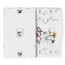 Leviton, Type 630A Telephone Screw Terminal Wall Jack, 40214-W