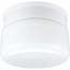 Progress Lighting, 1-light Flushmount, P3516-30