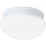 Progress Lighting, 2-light Flushmount, P3412-30