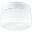 Progress Lighting, 2-light Flushmount, P3518-30