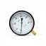 Wal-Rich, Pressure Gauge, 4-1/2 In. Dial, 30 PSI, 1/4 In. NPT, 1713004