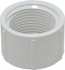 Charlotte, 4" PVC Female Adapter, 61194203201