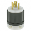 Leviton, 2311