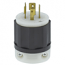 Leviton, 2421