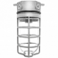 RAB Lighting, VX100DG ,Vaporproof VX 4" Ceiling Box Mount with Glass Globe and Cast Guard, M78746