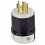 Leviton, 2431